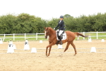 SBM_008854