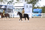 SBM_11612