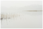 Lough Meelagh, Co Roscommon