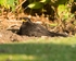 20110702-_MG_6218