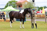 SBM_02540