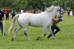 SIAL3358