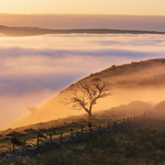 Sunrise from Cracken Edge