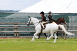 SBM_09533