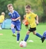 533A1445