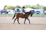 SBM_09092