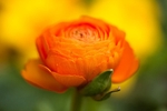 20120406-_MG_9450