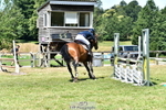 Cls 57 95cm Nat Am Q portfolio