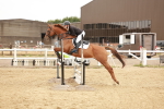 SBM_008729