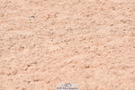 230609A-121728-00862