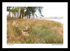 Tatton-5a