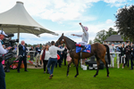 260823-Race 4-Absurde-1444