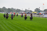 060926-Shetland Pony Race-Claredale Edward-6022