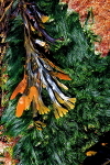 20100826_0177_2