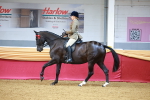 SBM_00797