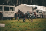 DSCF7168