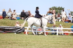 3E7A9589