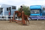 SBM_14626