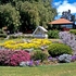 Floral clock