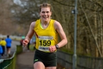 Livirelays25-920552