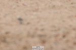 240706A-122525-01684