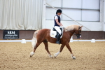 SBM_009009