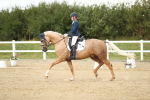 SBM_018496