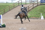 164-Samantha.Lewis-KNOCKRIGG.BRONCO portfolio