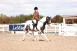 SBM_14483