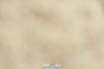 230701A-115911-05625