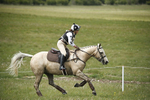 BVHT 140517  NXC -199