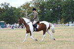 WJ7_4976
