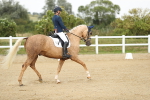 SBM_018490