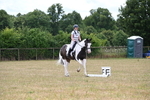 WJ6_5348