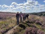 036 Heading across the NY Moors on Hutton Ridge