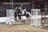 BPP_3888