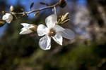 17Apr2013: Photo 107