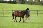 SBM_62371
