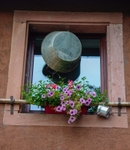 Window dressing in Riquewihr