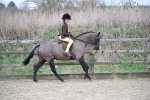 SBM_004691
