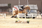 SBM_002005