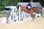 Class 4: Senior British Novice/90cm open portfolio