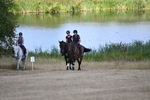 WJ6_8918