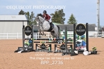 BPP_2736