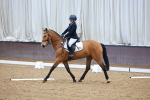 SBM_002916