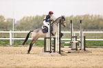 SBM_002341