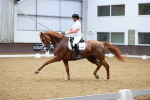 SBM_002685