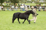 SBM_62782