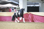 SBM_08910
