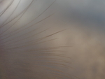 P91400800157